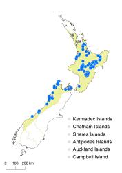 Dicksonia lanata subsp lanata distribution map based on databased records at AK, CHR and WELT. 
 Image: K. Boardman © Landcare Research 2015 CC BY 3.0 NZ